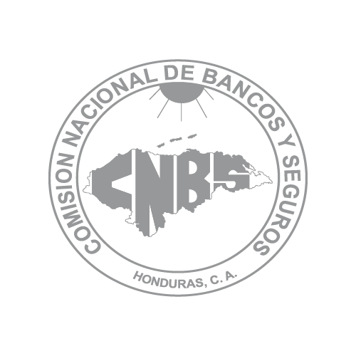 Logo CNBS